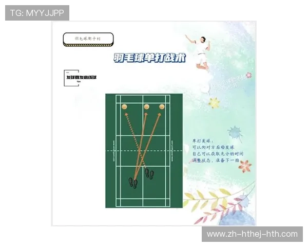 羽毛球战术书籍